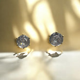 Brinco Ponto de Luz seis Garras